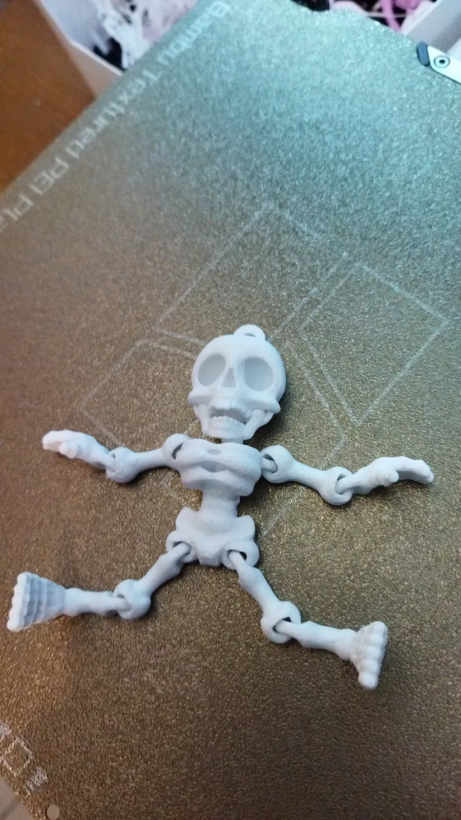 Articulated Skeleton